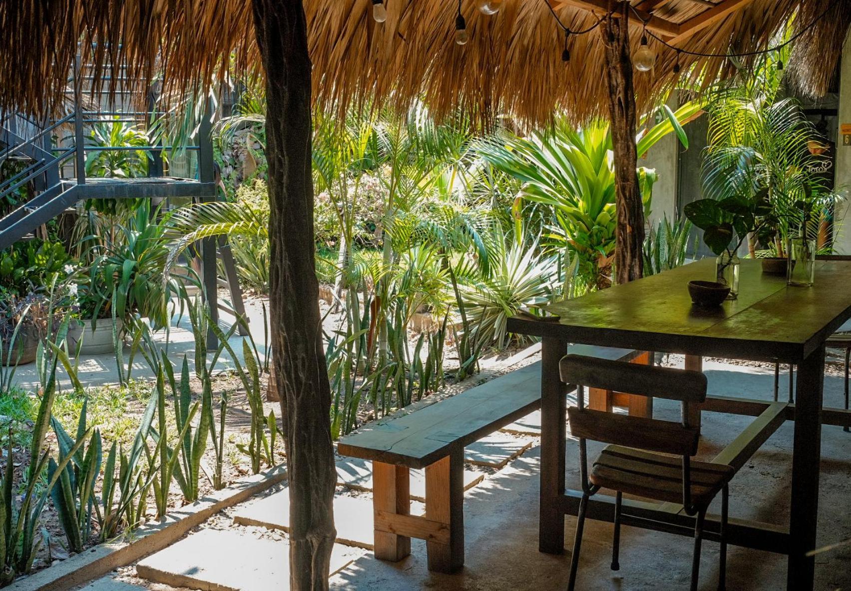 Puerto Dreams H Vandrarhem Puerto Escondido  Exteriör bild
